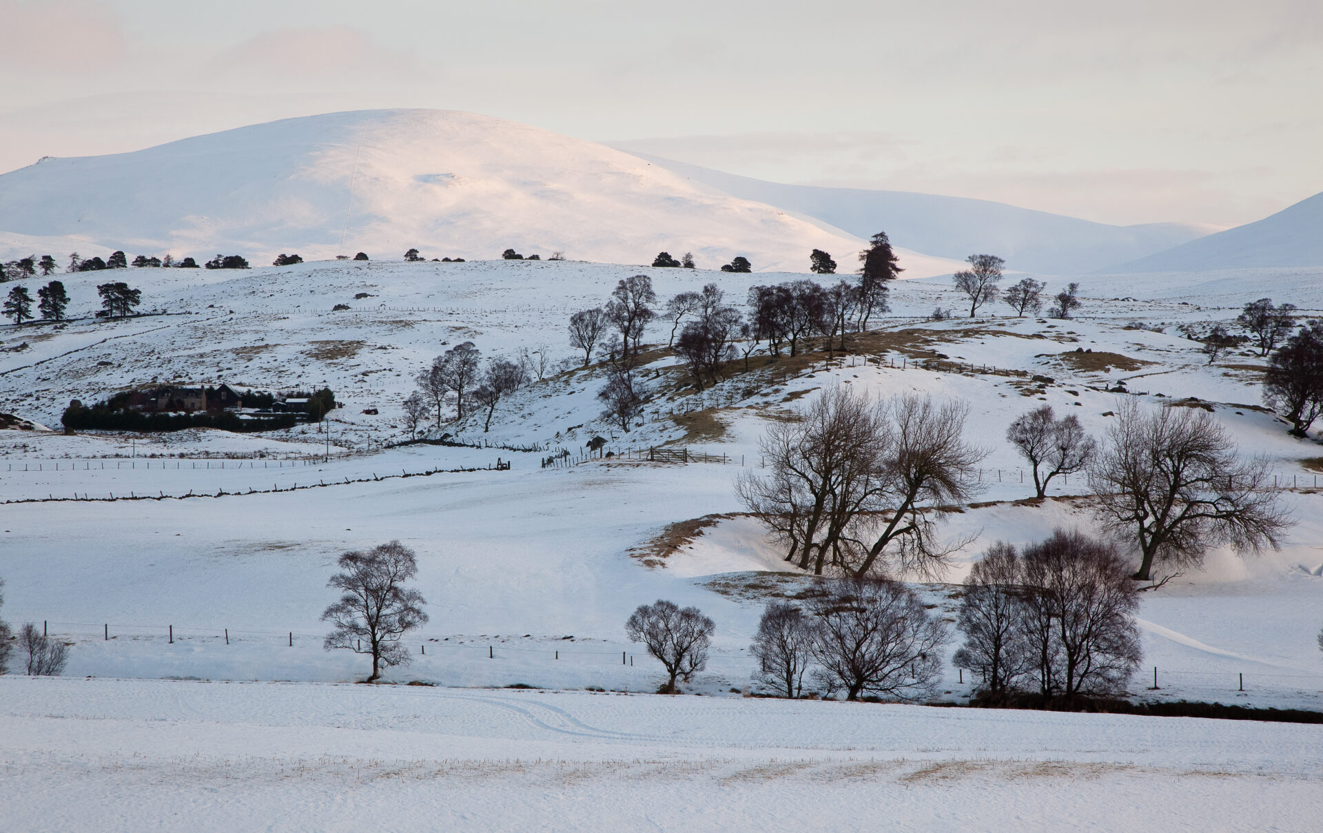 ❄️ Winter Wonders in and Around Blairgowrie