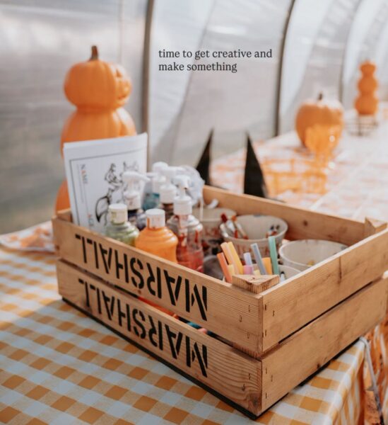 pumpkins at marshalls farm shop