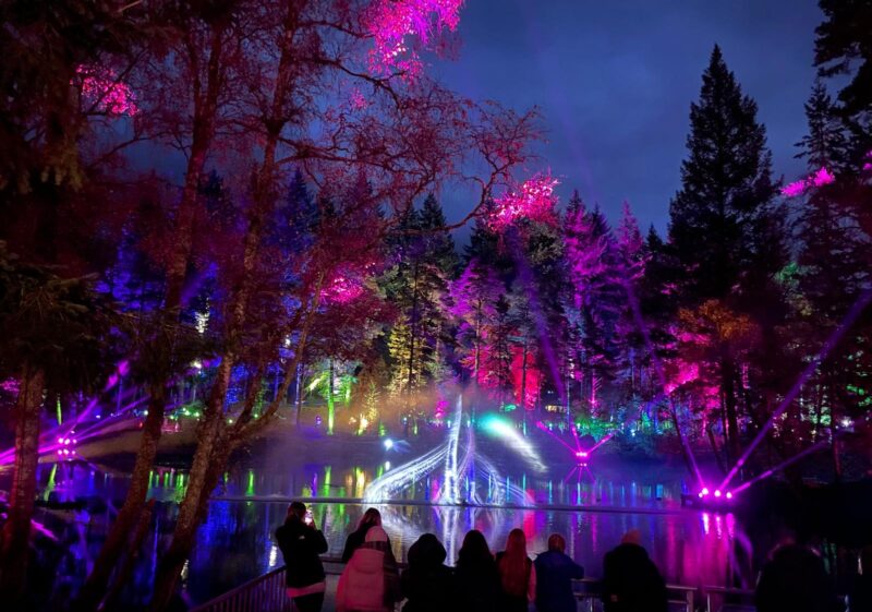 Colourful illuminated woodland and reflections at The Enchanted Forest in Pitlochry, Scotland